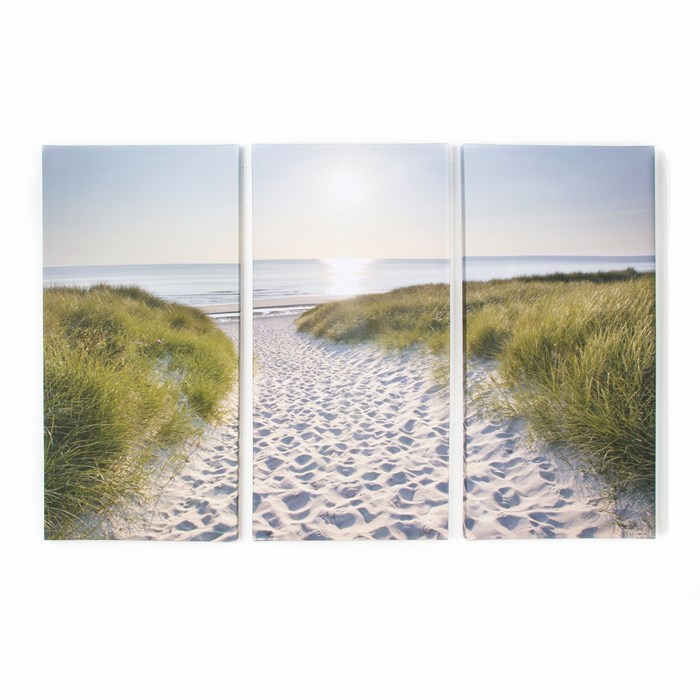 Beach Walk Printed Canvas